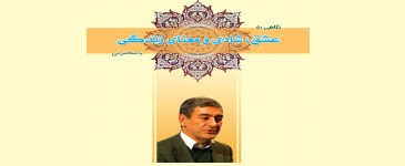 عشق، شادی و معنای زندگی